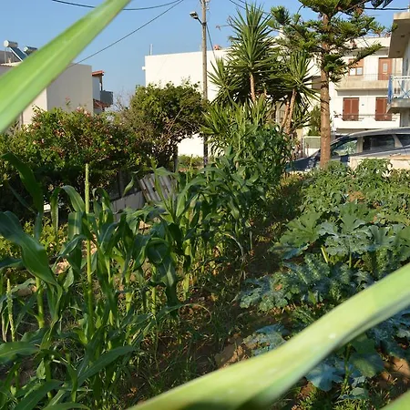 Thegaia Апартаменты